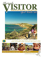 Visitor